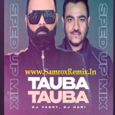 Tauba Tauba (Remix) - Dj Vaggy X Dj Hani Tauba Tauba (Remix) - Dj Vaggy X Dj Hani
