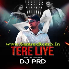 Tere Liye (Afro House) - DJ PRD Tere Liye (Afro House) - DJ PRD